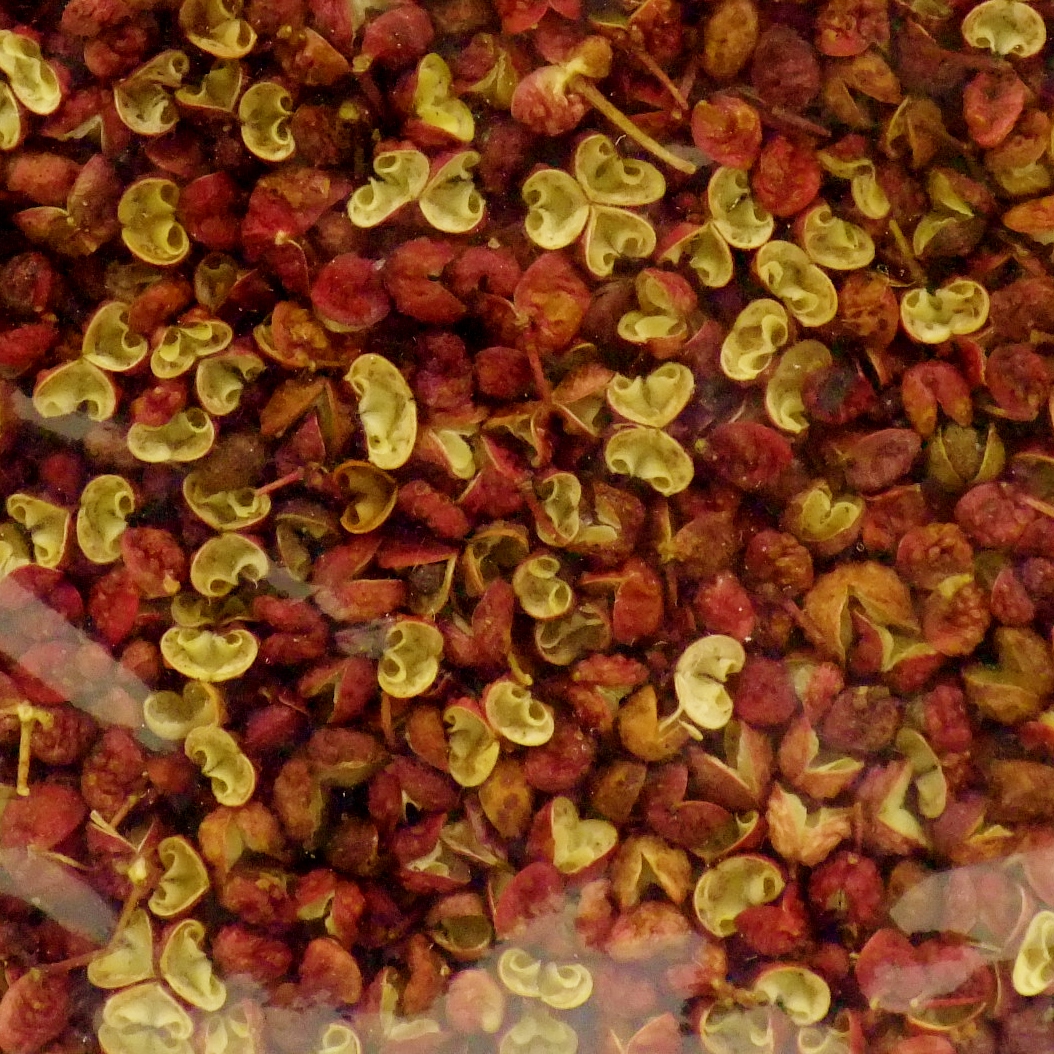 ユウキ 四川花椒 ファージャン ３００ｇ