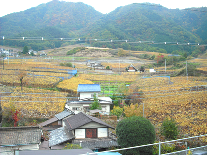 ワインツーリズム