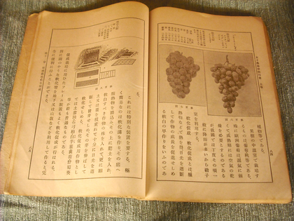 ワインツーリズム